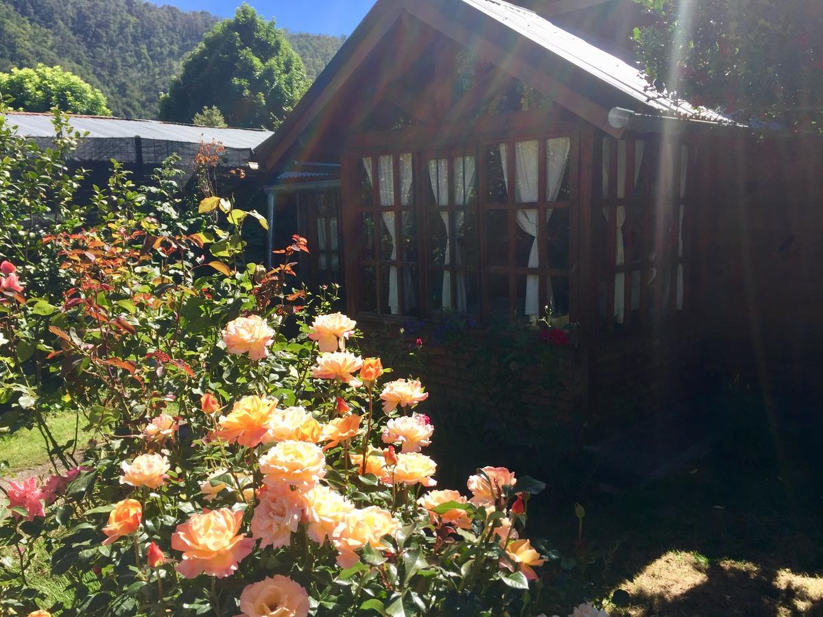Tu Cabana San Martín de los Andes Dış mekan fotoğraf